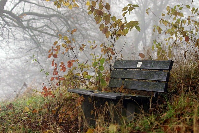 Herbstferien 03.11.-07.11.2025