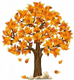 Herbstferien 2026 vom 02.11. bis 06.11.2026